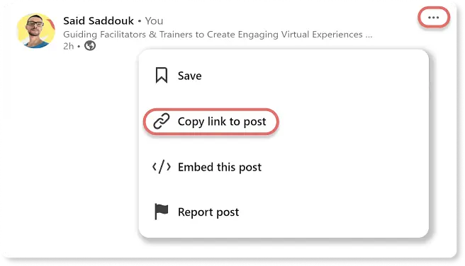 Linkedin Post Time Wizard